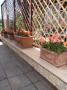 Glaf exterior piatra naturala